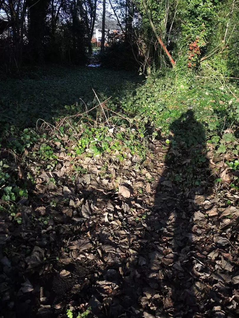 The shadow of Mike McCartney taking a photo of foliage at Strawberry Field grounds 