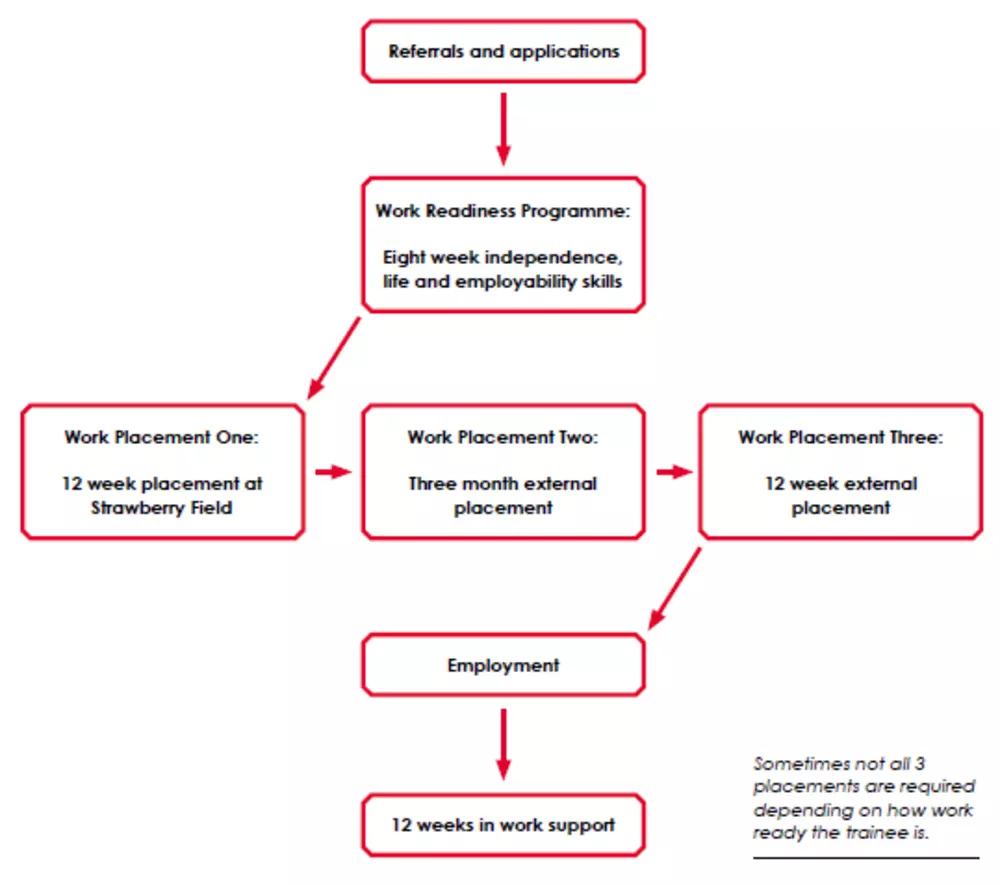 Steps program flow