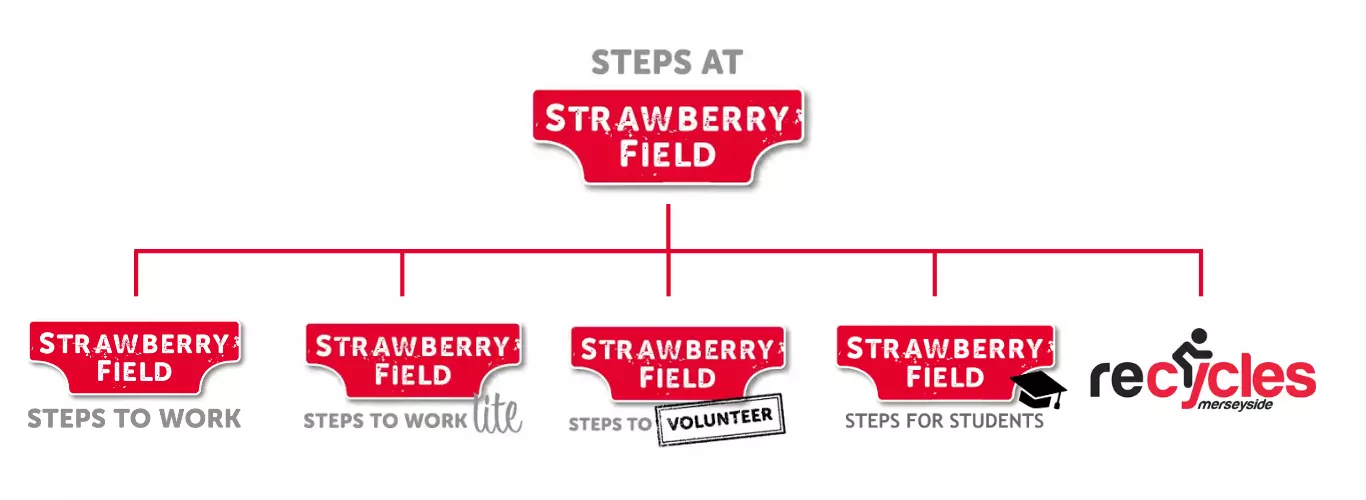 Steps at Strawberry Field breakdown of programmes