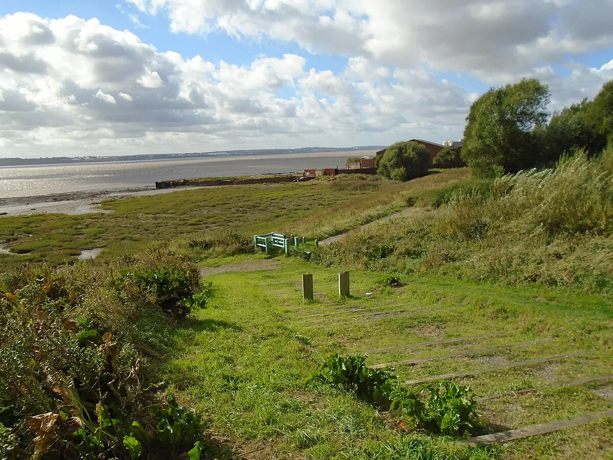 Green lush grass on Speke and Garston Coast.
