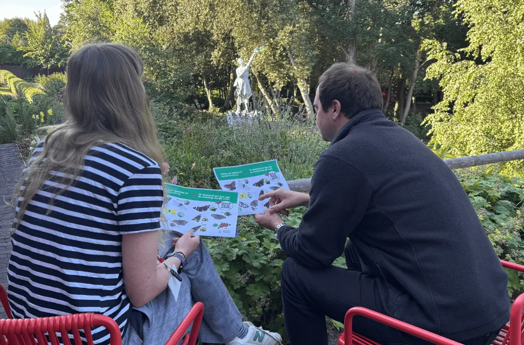 Two people sat overlooking the Strawberry Field garden with a sheet of pictures of different butterflies.