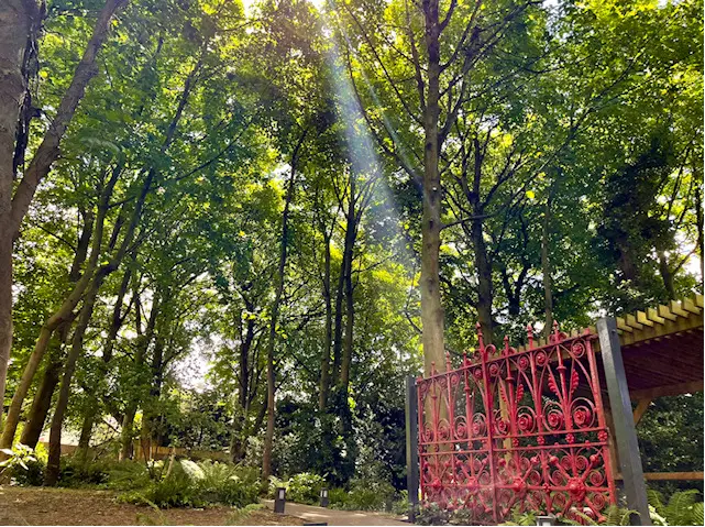 A sun beam shining down on the original Strawberry Field gates