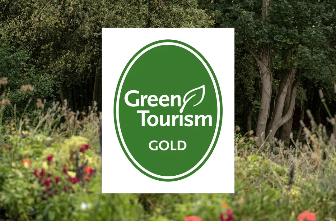 Strawberry Field awarded Gold accreditation with Green Tourism